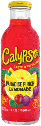 [Temp-INT-01566] CALYPSO 16OZ/12PK (PARADISE PUNCH LEMONADE)