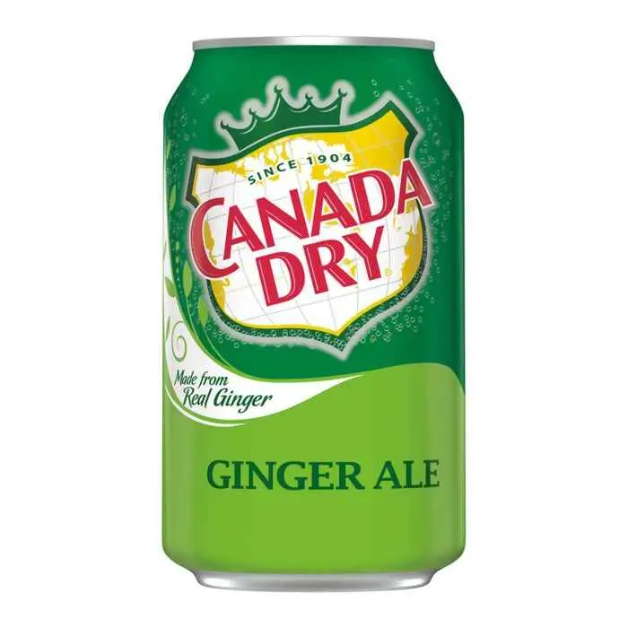 CANADA DRY GINGER ALE GREEN CAN 24/12OZ