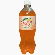 CANADA DRY PEACH 20 OZ/ 24CT