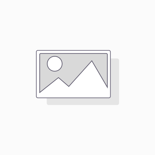 DUNKIN DONUTS ICED TEA