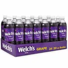 [Temp-INT-3287] WELCHES 20OZ/24PK (GRAPE)