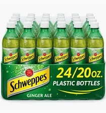 SCHWEPPES 20OZ/24PK (GINGERALE)